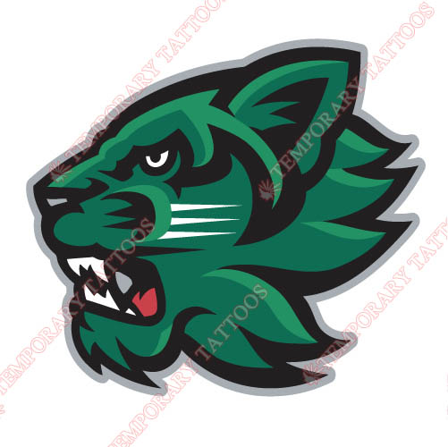 Binghamton Bearcats 2001 Pres Secondary Customize Temporary Tattoos Stickers NO.4005